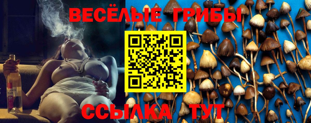 Псилоцибиновые грибы ЛСД  как найти закладки  Среднеуральск  Вход с VPN 